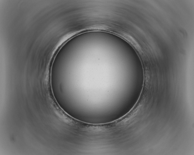 X0000112761044200908271615