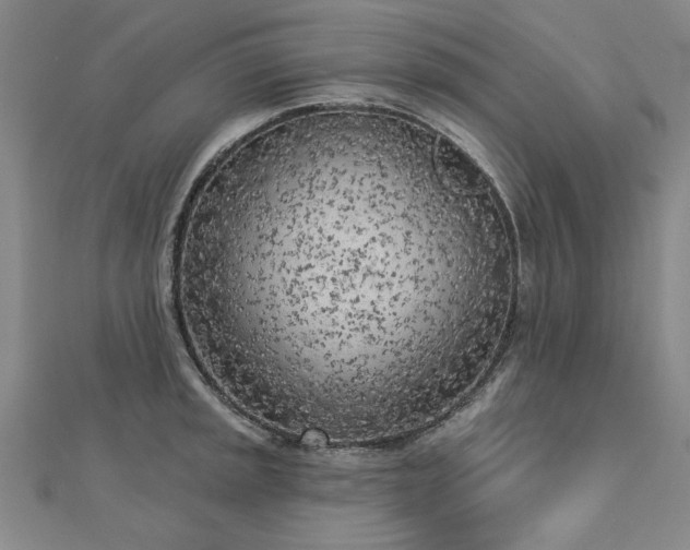 X0000112761045200908271615