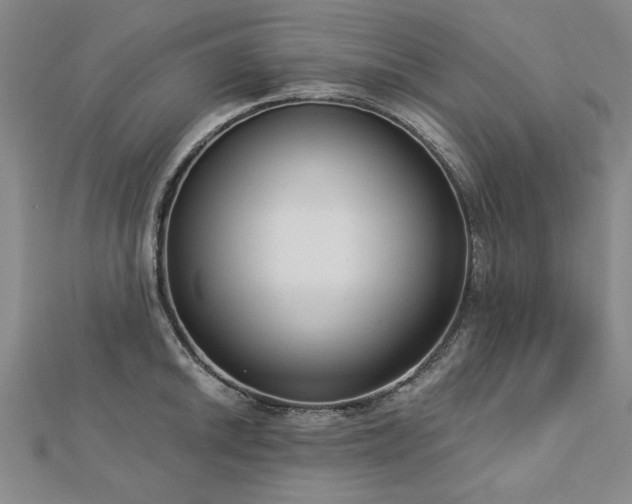 X0000112761046200908271615