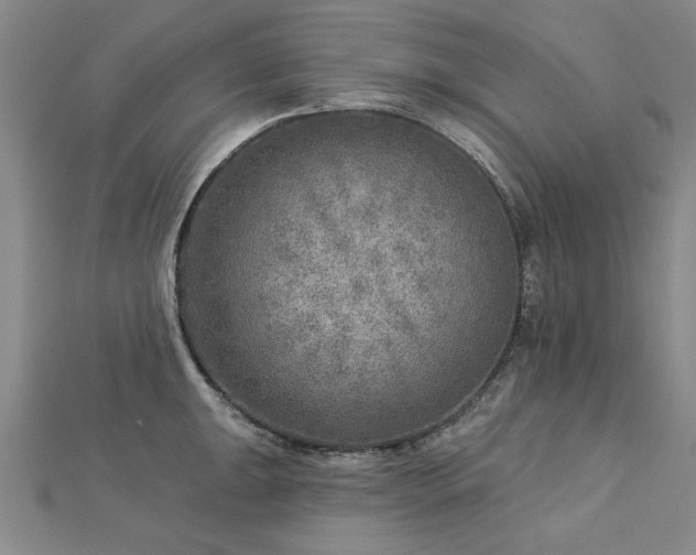 X0000112761047200908271615