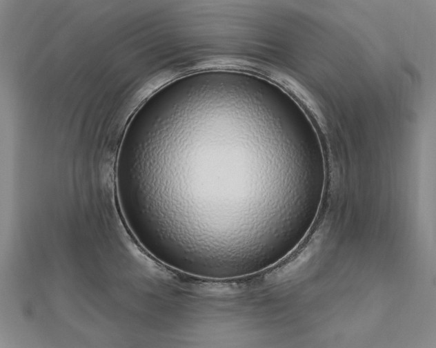 X0000112761049200908271615