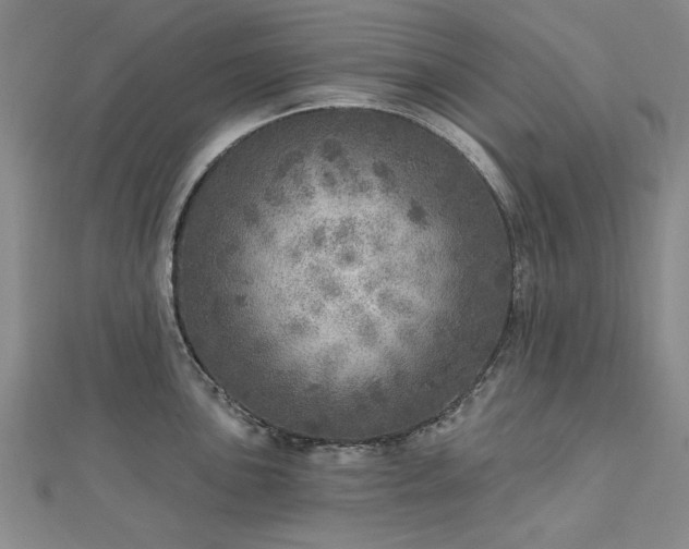 X0000112761051200908271615