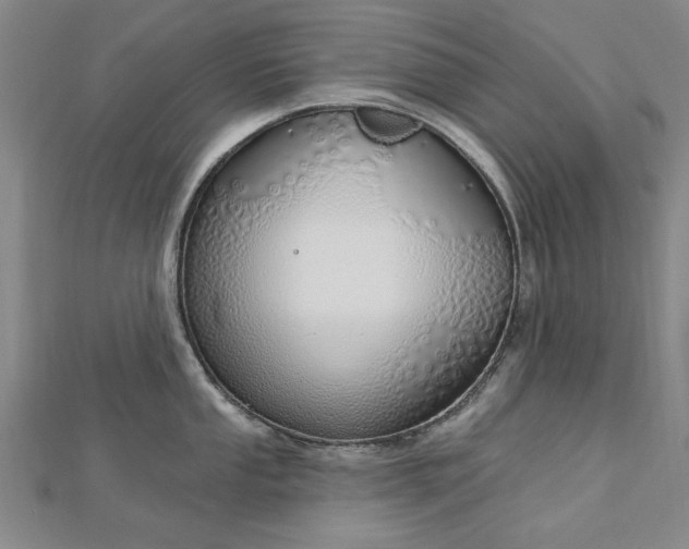 X0000112761053200908271615