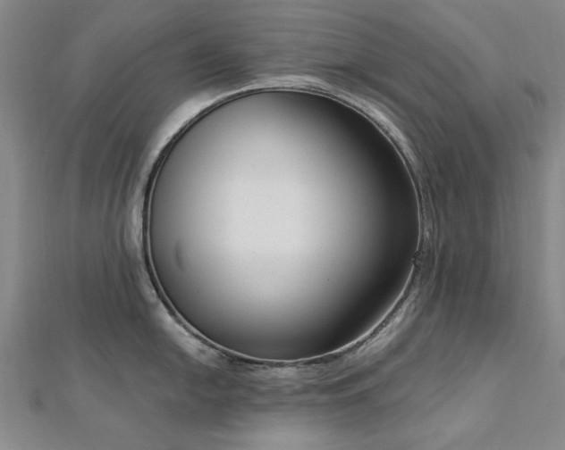 X0000112761054200908271615