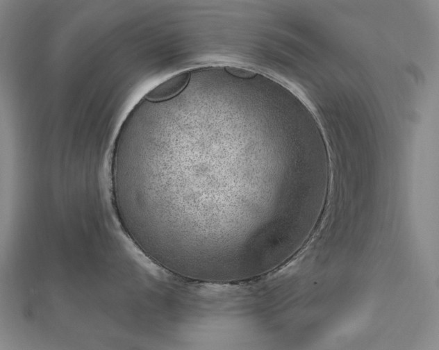 X0000112761056200908271615