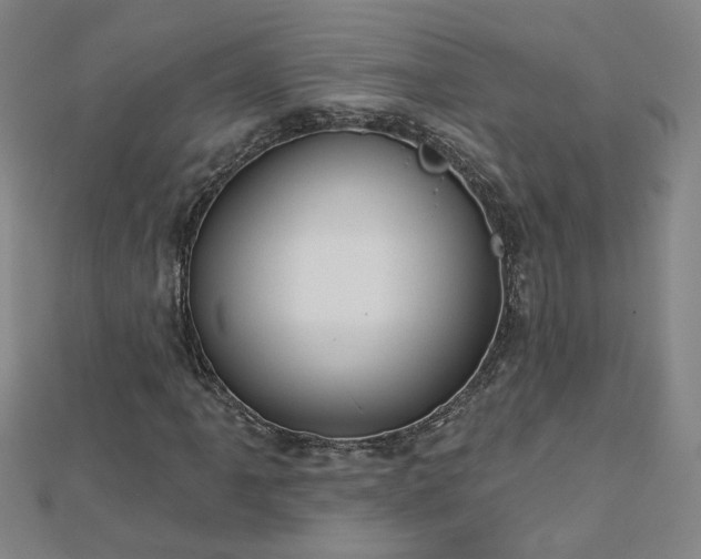 X0000112761061200908271615