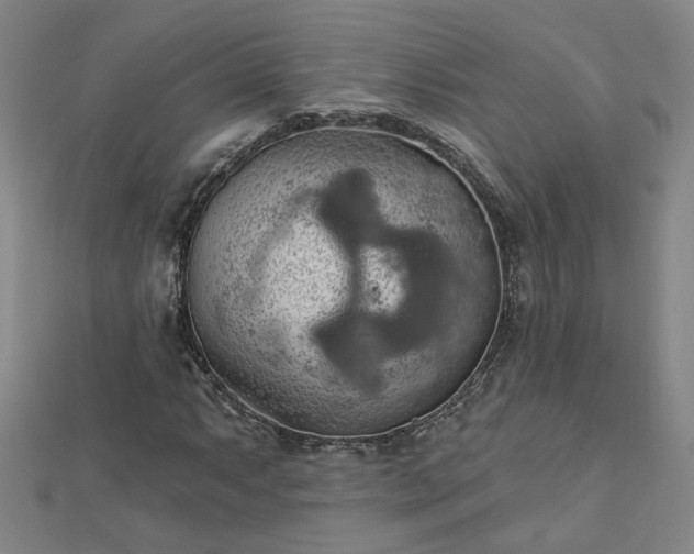 X0000112761063200908271615
