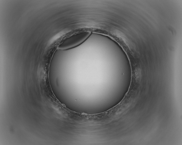 X0000112761064200908271615