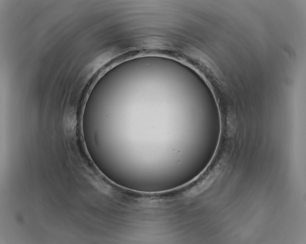 X0000112761065200908271615