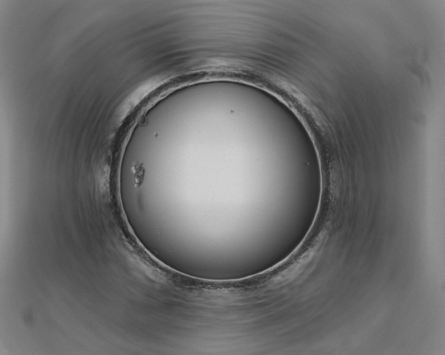 X0000112761066200908271615