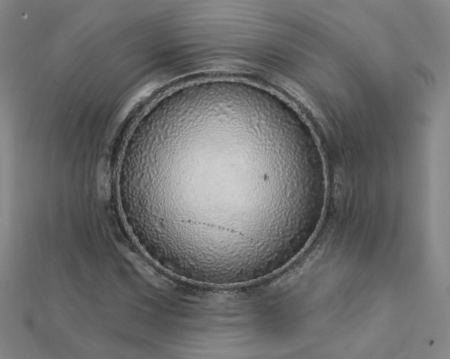 X0000112761067200908271615