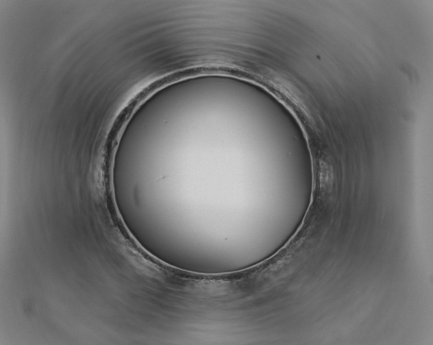 X0000112761068200908271615