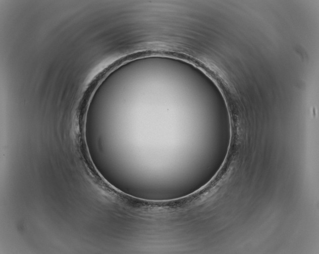 X0000112761070200908271615