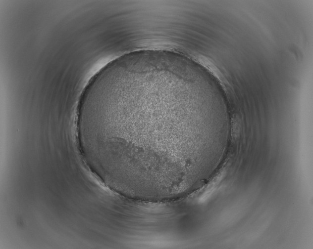 X0000112761071200908271615