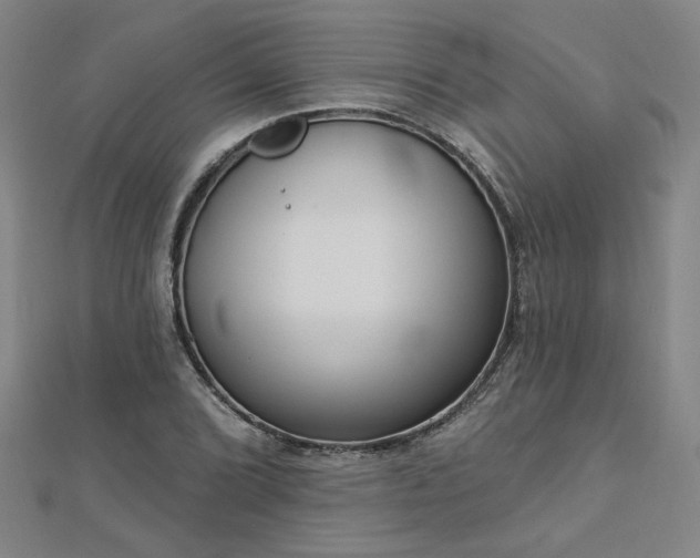 X0000112761072200908271615