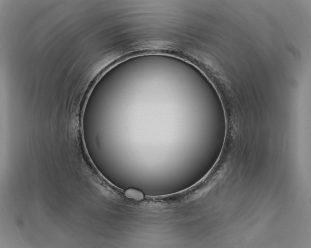 X0000112761073200908271615