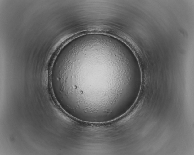 X0000112761075200908271614