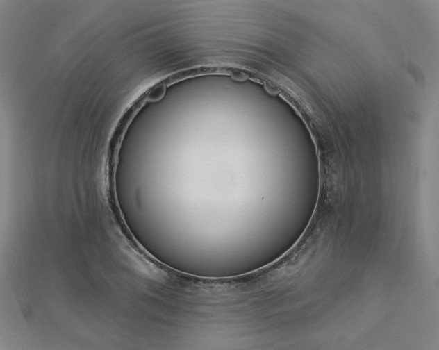 X0000112761076200908271614