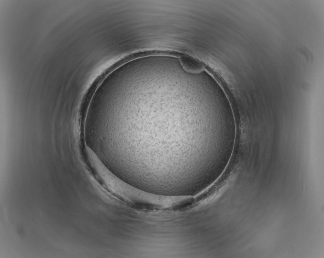 X0000112761077200908271614