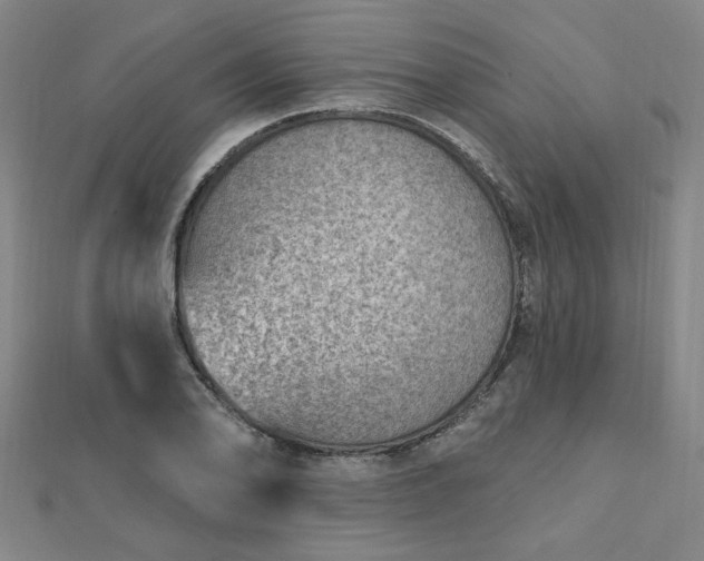 X0000112761078200908271614