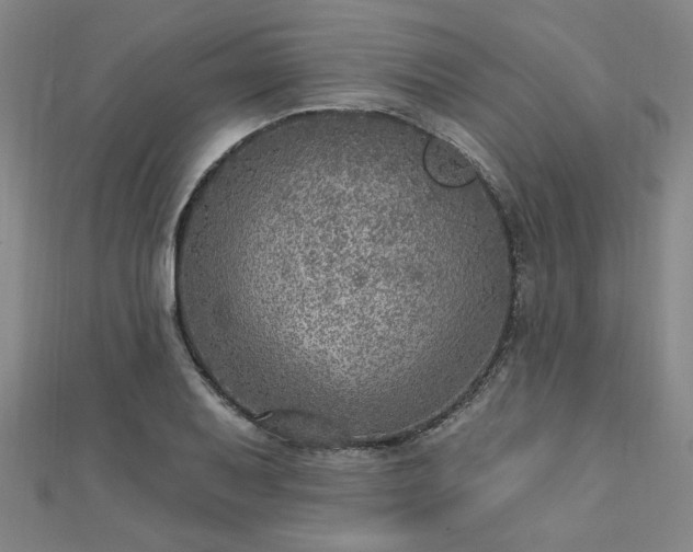 X0000112761079200908271614