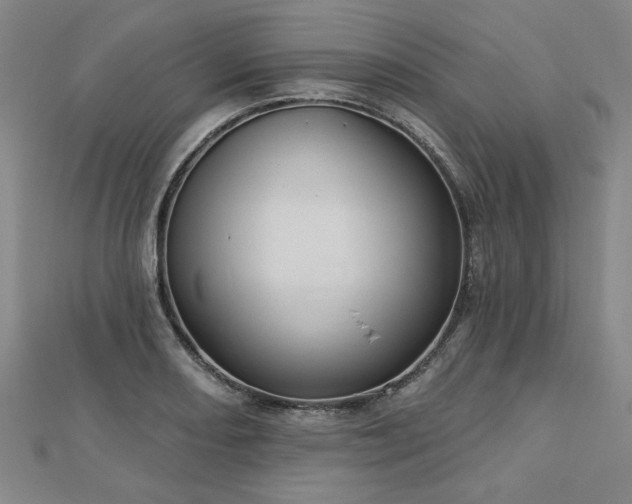 X0000112761082200908271614
