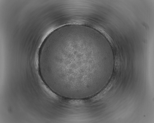 X0000112761083200908271614