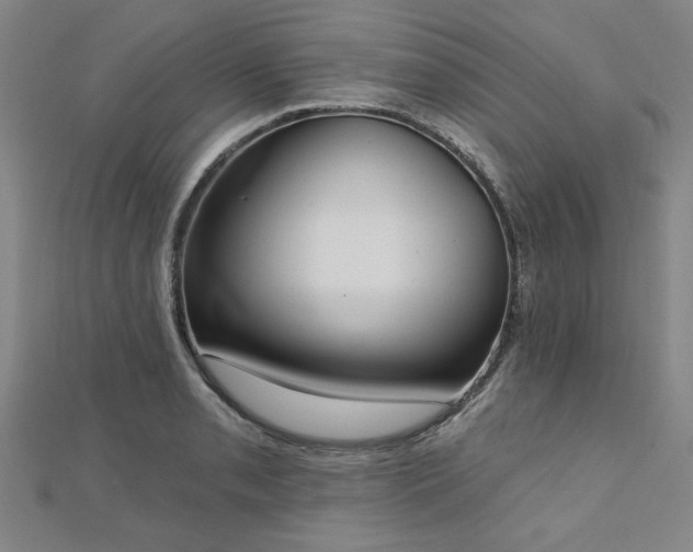 X0000112761085200908271614