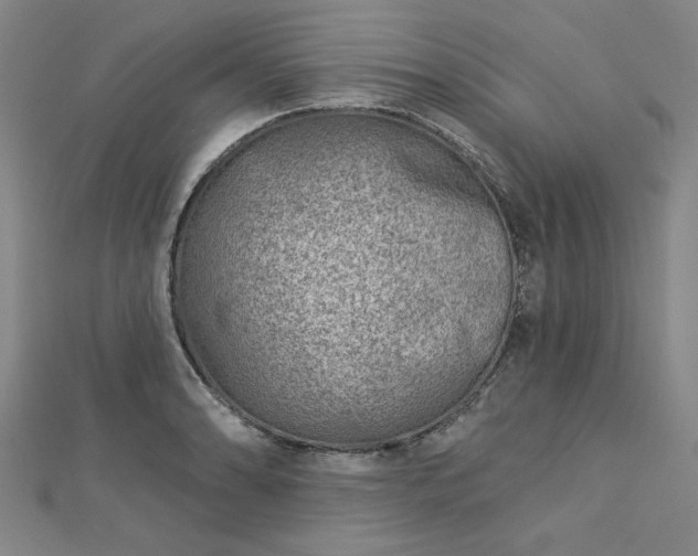 X0000112761086200908271614