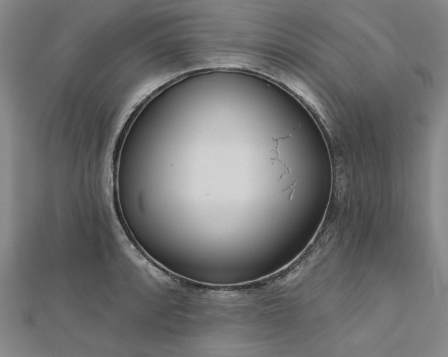 X0000112761088200908271614