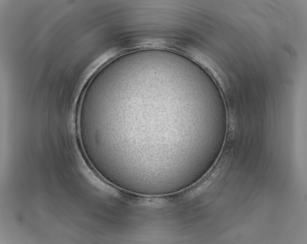 X0000112761090200908271614