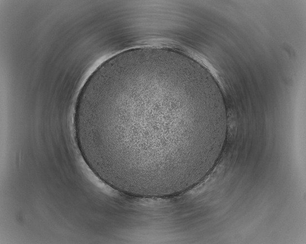 X0000112761091200908271614