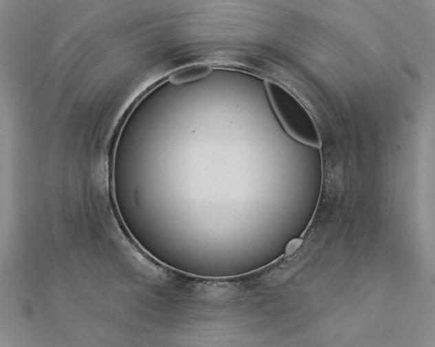 X0000112761092200908271614