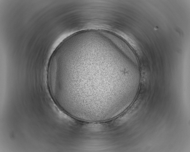 X0000112761094200908271614