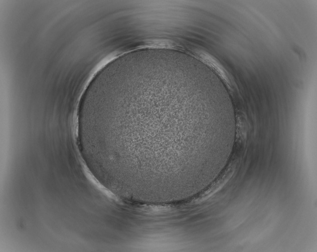 X0000112761095200908271614