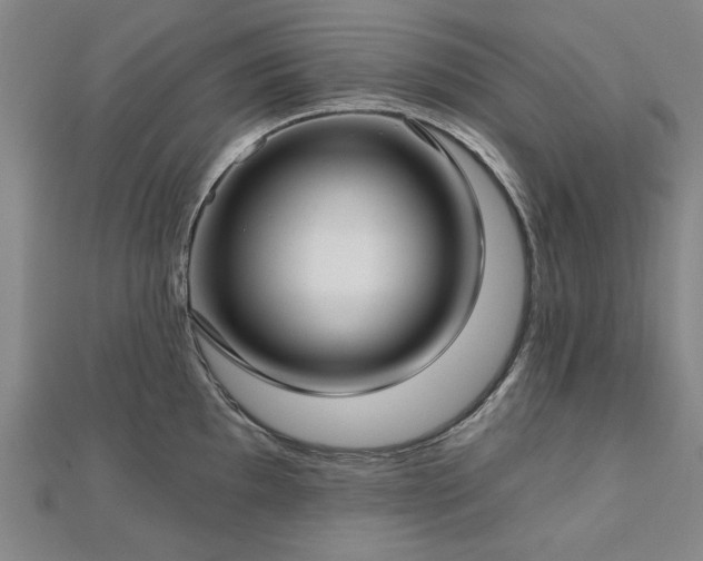 X0000112761097200908271614