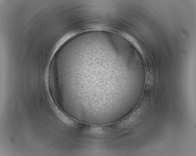 X0000112761098200908271614