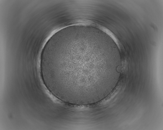 X0000112761099200908271614