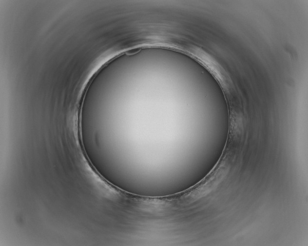 X0000112761100200908271614