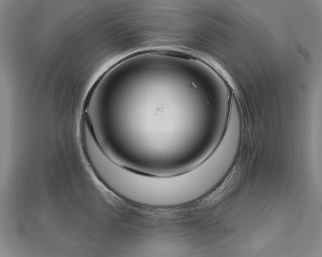 X0000112761101200908271614