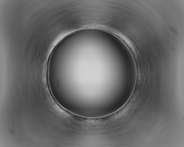 X0000112761102200908271614