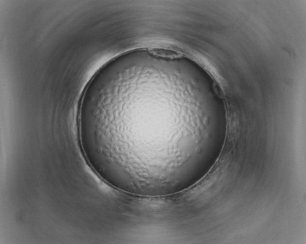 X0000112761103200908271614