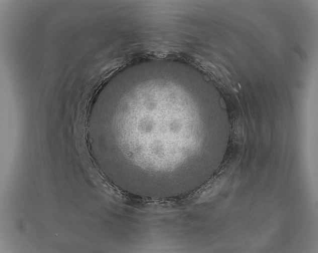 X0000112761105200908271613