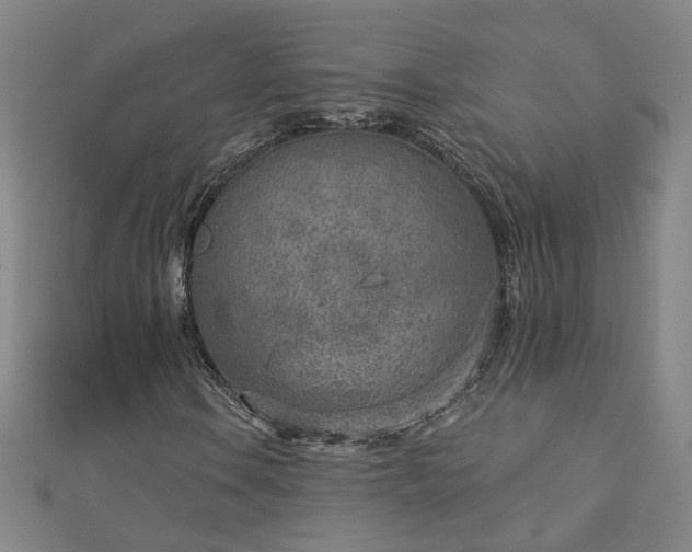 X0000112761106200908271614