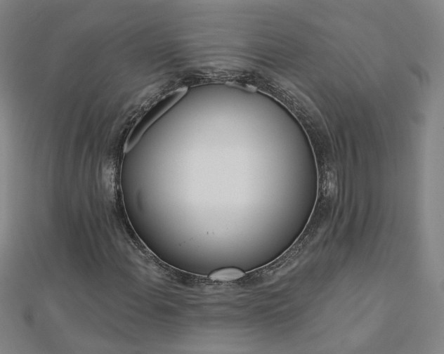 X0000112761108200908271614