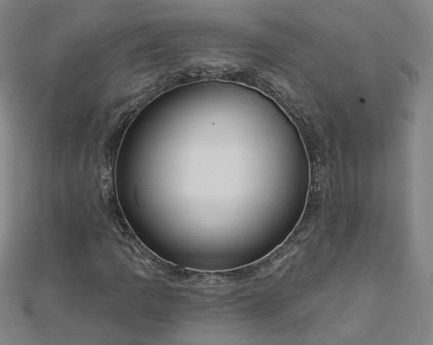 X0000112761109200908271614