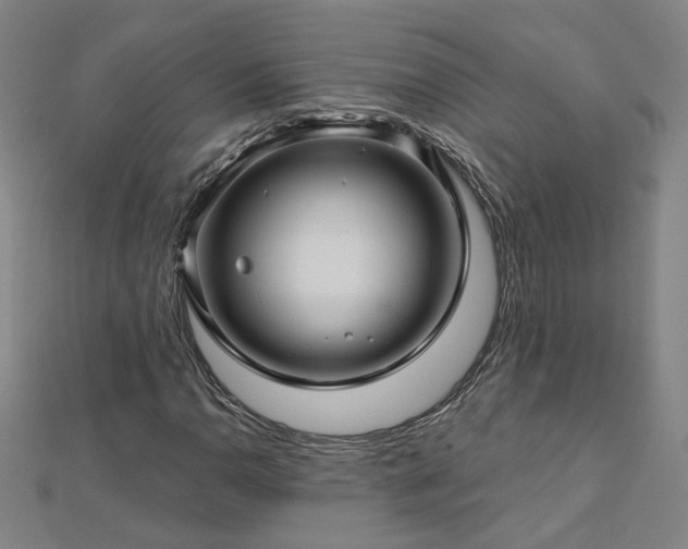 X0000112761110200908271614