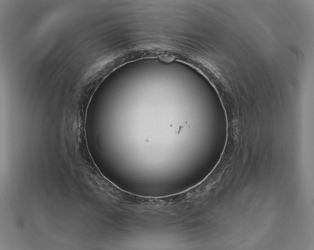 X0000112761111200908271614