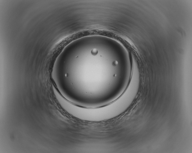 X0000112761112200908271614