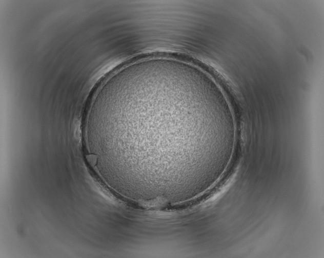 X0000112761113200908271614